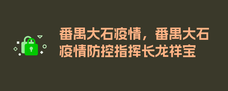 番禺大石疫情，番禺大石疫情防控指挥长龙祥宝