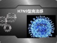 【北京第二例h7n9,北京两例病人】