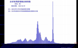 【印度将成全球疫情新爆点,印度疫情全面爆发】