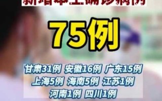 31省区市新增确诊75例(31省市新增确诊病例54例)