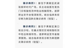 【武汉新增7例无症状感染者,武汉新增7例无症状感染者行动轨迹】