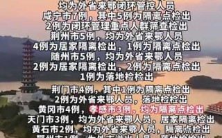 〖本轮疫情源头在哪儿·本轮疫情源头在哪儿查〗