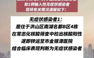 〖湖北新增本土确诊病例9例_湖北新增本土10例〗