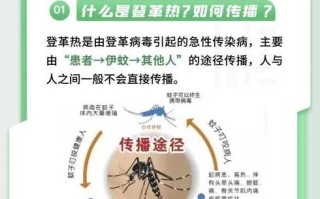 石家庄新增15例确诊详情，石家庄新增15例确诊详情图