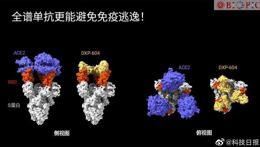 我国首个新冠特效药作用:一针持续9个月