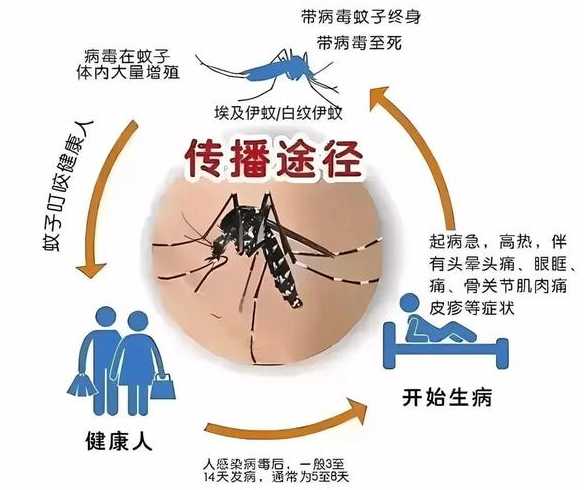 10月11日0时至24时北京新增病例情况通报及健康提示