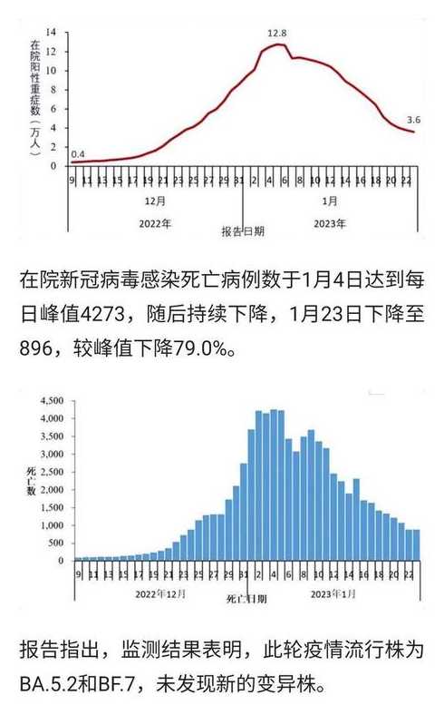 全国疫情最严重的地区排名