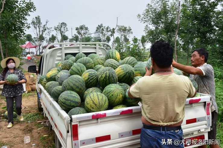 商丘疫情,商丘解封最新消息:商丘8月底能恢复正常吗-今日头条