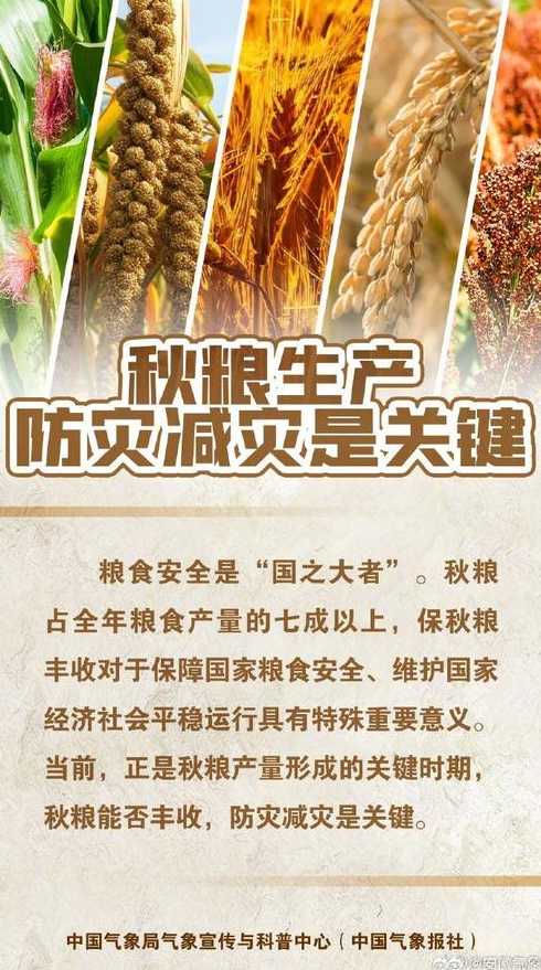 我国全力以赴夺秋粮丰收,目前我国粮食产量是什么水平?